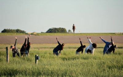 Sfeervolle Mindwalk door kwelders: “een cadeautje!”