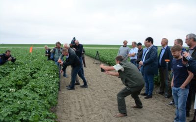 Verziltingsonderzoek gestart bij Holwerd aan Zee
