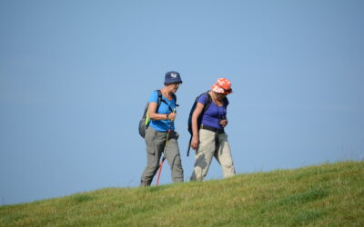 Hulp gevraagd bij lifestyle onderzoek Blue Zone Holwerd