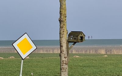 Voortgang Holwerd aan Zee